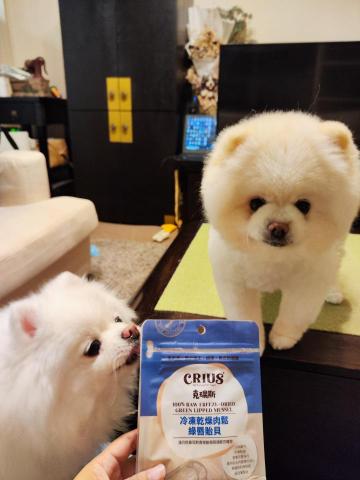 FURKID.ME 寵物保姆 - 需要餵藥、不能太嗨（心臟問題）
需要長期看照的姐弟