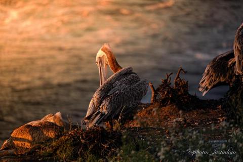 廖祖宇 - 後期調色