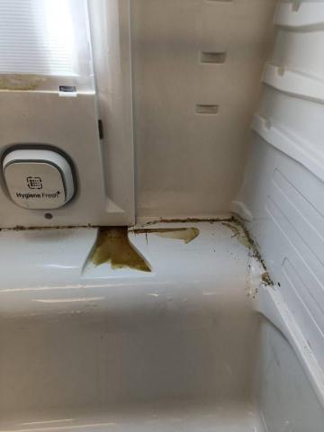 肖筱璉 - 清潔前