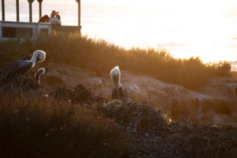 廖祖宇 - 調色前