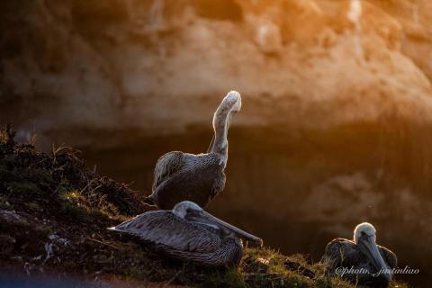 廖祖宇 - 後期調色