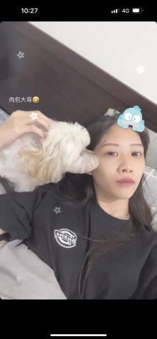 ㄚ莓-三重區周邊寵物保姆 - 