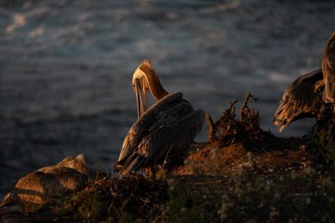 廖祖宇 - 調色前