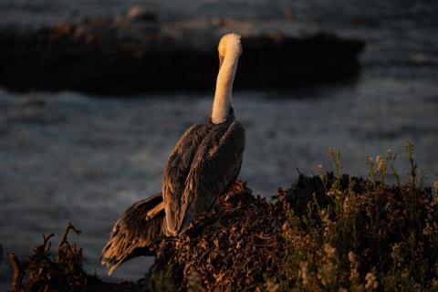 廖祖宇 - 調色前