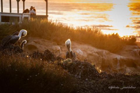 廖祖宇 - 後期調色