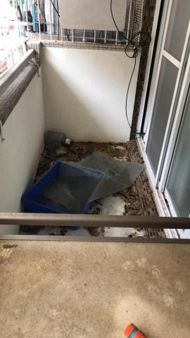 丁云茜 - 清潔前