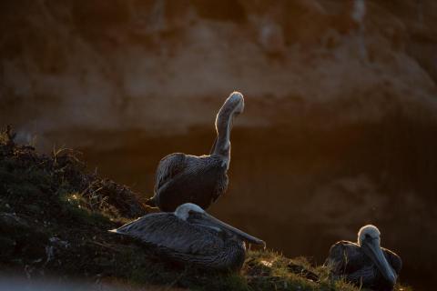 廖祖宇 - 調色前