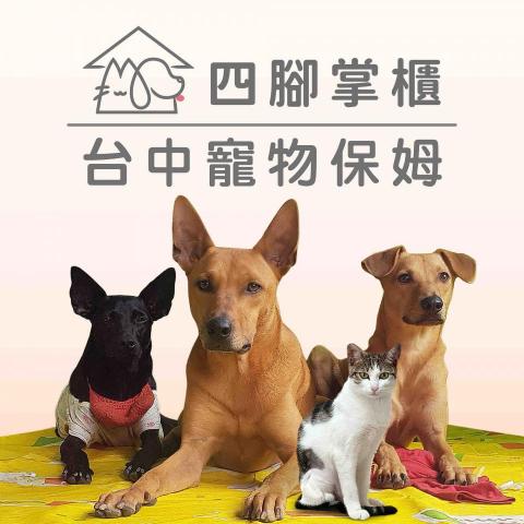 四腳掌櫃｜寵物保姆Amy&Andy - 四腳掌櫃｜寵物到府專業保姆Amy