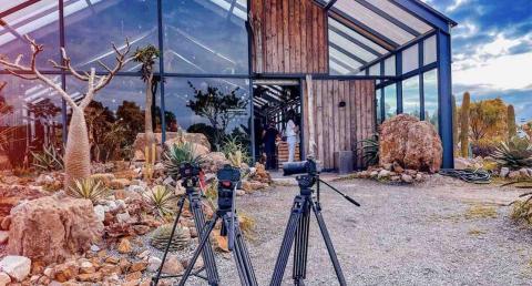 Mark_Liu - 曬了一天..