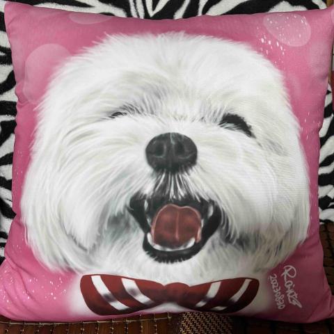 Rain -  優質毛孩周邊