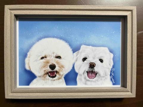 Rain -  毛孩客製化周邊商品