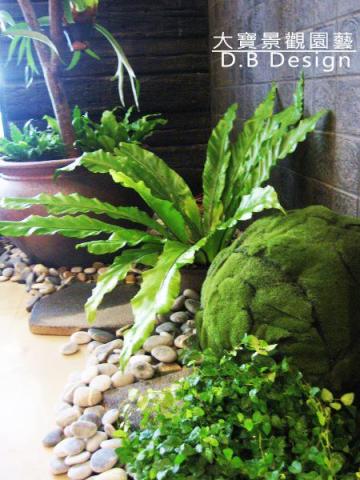 大寶景觀園藝 - 大寶景觀園藝>仿真植物人造景 大寶景觀園藝 - 大寶景觀園藝>仿真植物人造景