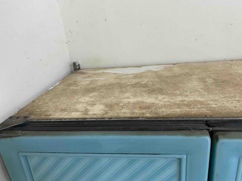 瑈 (Nicole)居家清潔/到府簡單剪髮 - 