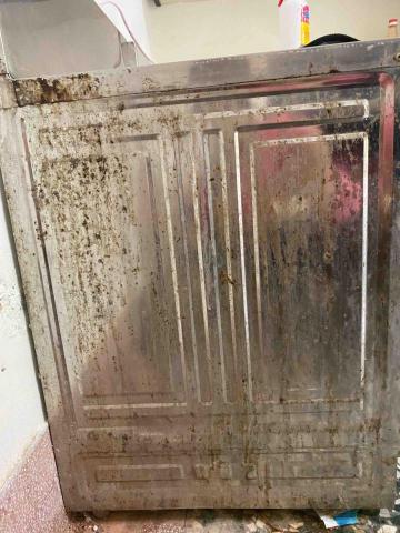 瑈 (Nicole)居家清潔/到府簡單剪髮 - 