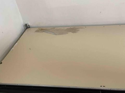 瑈 (Nicole)居家清潔/到府簡單剪髮 - 