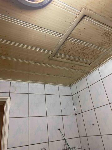 小美專業收納清潔 - 除霉前