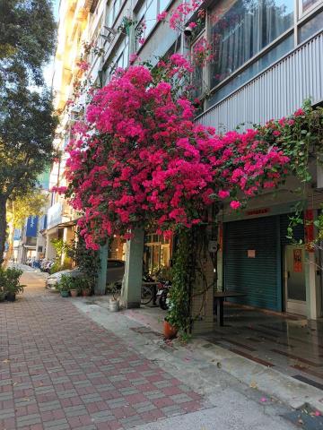 泰清潔居家生活 - 店面室外清潔01