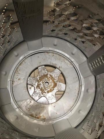 澄新洗衣機清潔 - 清洗前