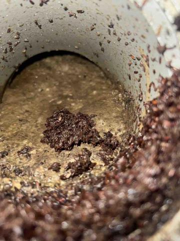 永正企業工程行 - 糞管阻塞