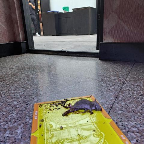 冠雲傑勀消毒 - 知名連鎖KTV 1