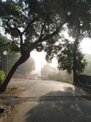 高珮芸 - 在學校裡面晨跑鍛鍊體力