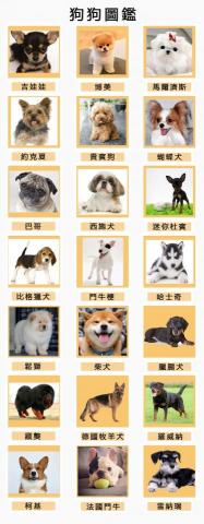 高珮芸 - 先前接觸小型犬較多