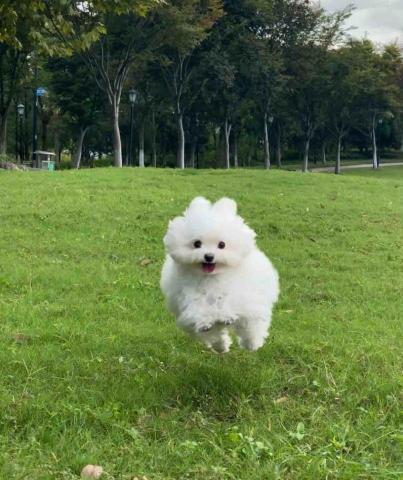 提供寫文章服務的專家Amy