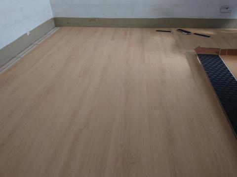 星創藝家飾小安 - 