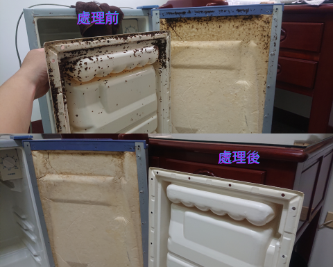 小城專業居家清潔 - 冰箱門板拆解清潔處裡前後 小城專業居家清潔 - 冰箱門板拆解清潔處裡前後