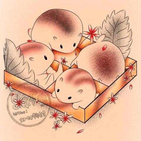 Soft'花 手做館 - 