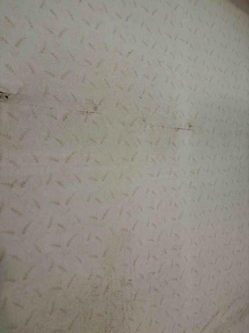 藍全能工作室 -  藍全能工作室 -