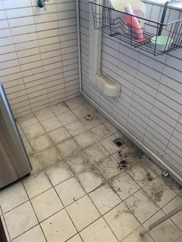 多比家事精靈 - 