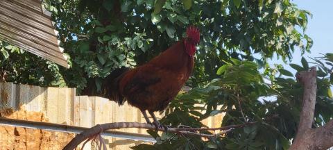 提供晚班兼職工作台中市服務的專家小瞳