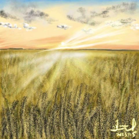 Hui - 《夕陽下的稻鄉》電繪作品