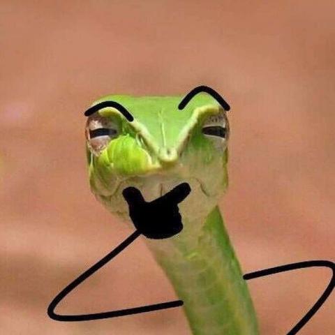 提供n4n5服務的專家LUN