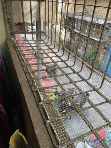 慶旺興業有限公司 - 居家老鼠窗戶鐵道網封除 慶旺興業有限公司 - 居家老鼠窗戶鐵道網封除
