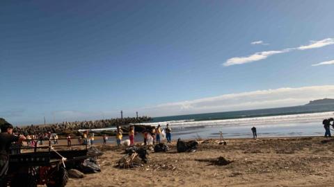 提供除草服務的專家寶華股份有限公司