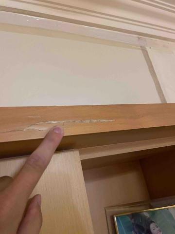 慶旺興業有限公司 - 居家白蟻場刊結果 慶旺興業有限公司 - 居家白蟻場刊結果