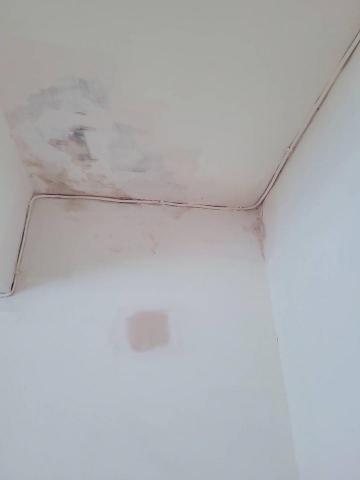 揮博雄湧油漆工程及清潔 - 