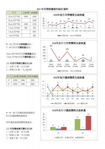 Nancy南希 - EXCEL資料分析後，整理成WORD統計資料表