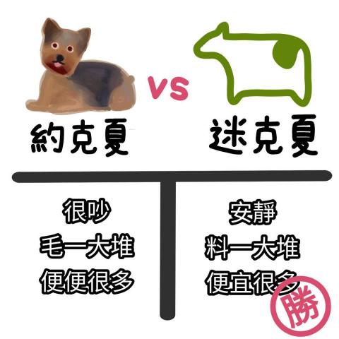 肌野家 - 合作案，主打年輕梗圖