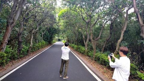 柏鴻騰 - 4 柏鴻騰 - 4