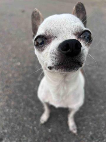 李易珊 - 自己家的孩子