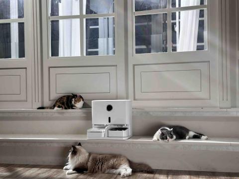 四腳掌櫃｜寵物保姆Amy&Andy - 也可協助攜帶貓咪、寵物拍攝，完成指定動作