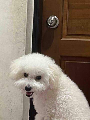 提供sbir代寫服務的專家01