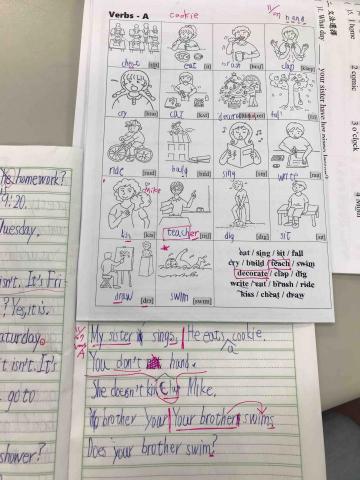 許美鈴 - Verb present tense sentence writing 動詞現在式句型變化練習