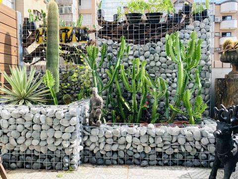 莊志偉 - #浩鑫不銹鋼
#網牆
#石頭網牆
