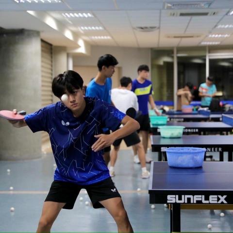 提供桌球服務的專家蔡名奕