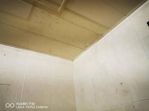 大弘清潔工程行 - 除黴作業前，平頂壁面圖