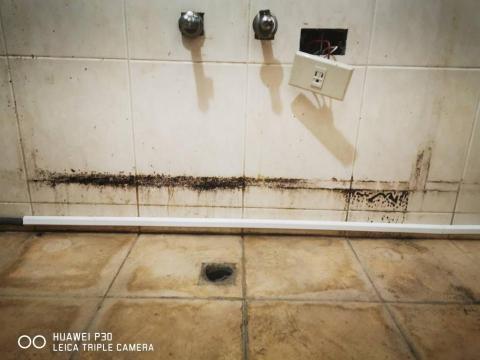 大弘清潔工程行 - 壁面磁磚，地磚，除黴除垢作業前圖